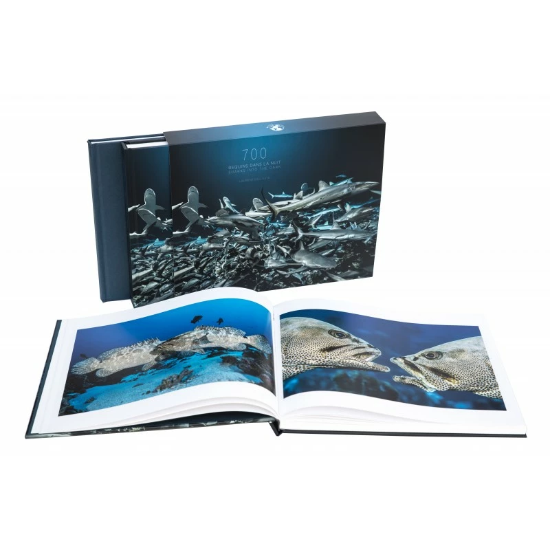 700 Requins Dans La Nuit Laurent BALESTA - Andromede – Image 6