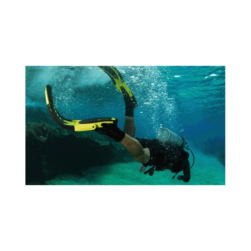 AMPHIBIAN Palme Réglable REPLIABLE - Omega – Image 5